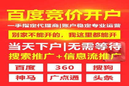 SEM推广策略：成功案例解析与效果评估